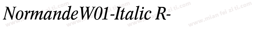 NormandeW01-Italic R字体转换